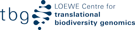 Loewe TBG